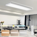 Brilagi - dimeriuojamas LED vonios kambario lubinis šviestuvas FRAME SMART LED/50W/230V 120x30 cm 3000-6000K IP44 baltas + su nuotoliniu pulteliu