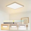 Brilagi - dimeriuojamas LED vonios kambario lubinis šviestuvas FRAME SMART LED/50W/230V 60x60 cm 3000-6000K IP44 smėlinė + nuotolinis valdymas