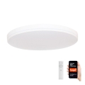 Immax NEO 07149-W51 - LED reguliuojamas lubų šviestuvas NEO LITE AREAS LED/48W/230V Tuya Wi-Fi baltas + nuotolinio valdymo pultas