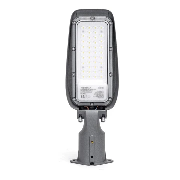 Aigostar - LED Gatvės šviestuvas LED/30W/230V 6500K IP65