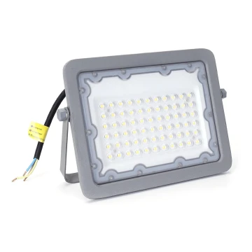 Aigostar - LED prožektorius LED/50W/230V pilka 6500K IP65