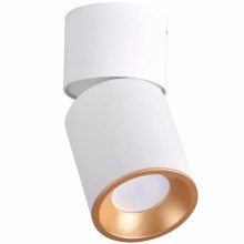 Akcentinis šviestuvas NIXA 1xGU10/10W/230V balta/aukso