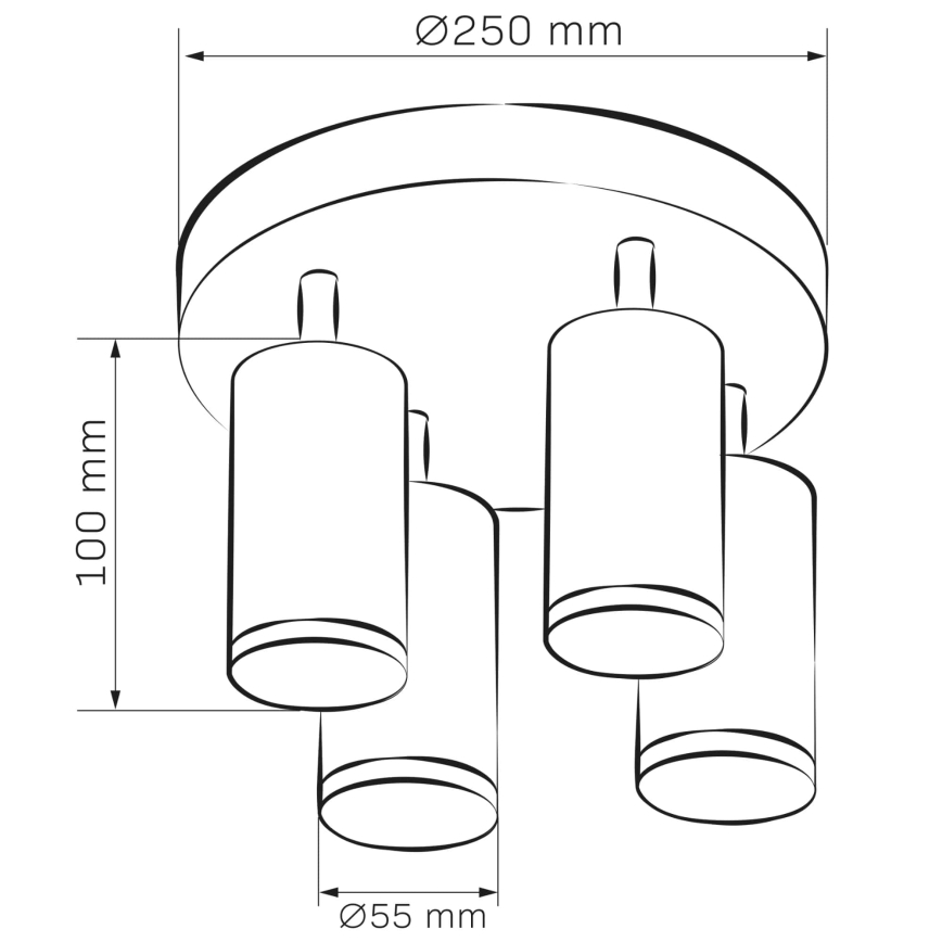 Akcentinis vonios šviestuvas TURYN 4xGU10/10W/230V IP44 balta