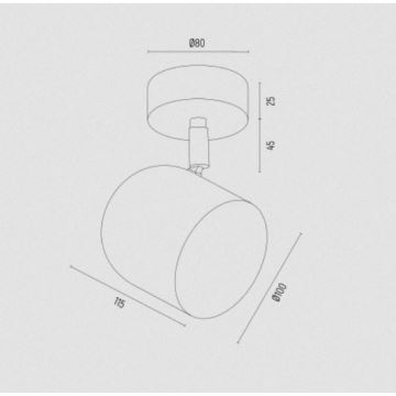 Argon 8260 - Akcentinis šviestuvas ISOLA 1xGU10/5W/230V