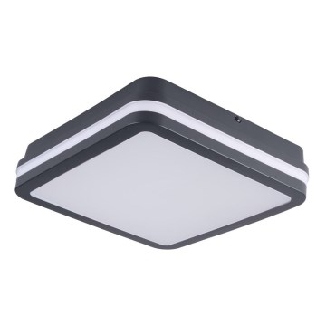 Brilagi - LED lauko šviestuvas BENE LED/18W/230V 22x22 cm antracitas IP54