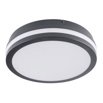 Brilagi - LED lauko šviestuvas BENE LED/18W/230V diametras 22 cm antracitas IP54