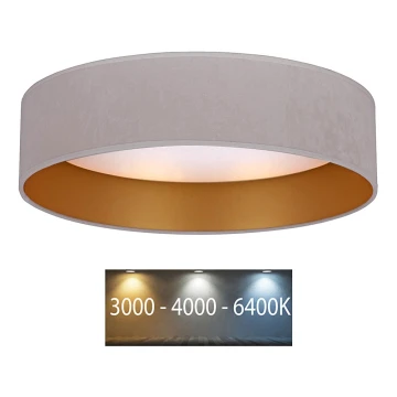 Brilagi - LED Lubinis šviestuvas VELVET LED/12W/230V d. 30 cm 3000K/4000K/6400K kreminė/auksinė