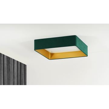 Brilagi - LED lubinis šviestuvas VELVET SQUARE LED/24W/230V žalia