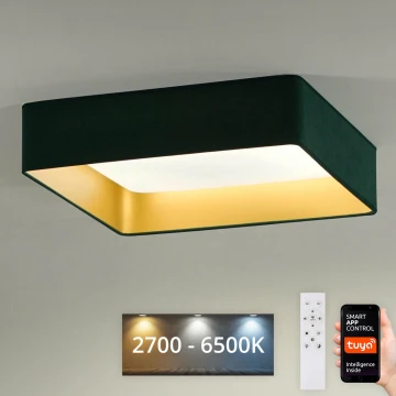 Brilagi - LED Pritemdomas lubinis šviestuvas VELVET SQUARE SMART LED/36W/230V 2700-6500K Wi-Fi Tuya + nuotolinio valdymo pultas žalia