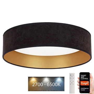 Brilagi - LED Reguliuojamas lubinis šviestuvas VELVET SMART LED/24W/230V d. 45 cm 2700-6500K Wi-Fi Tuya juoda/auksinė + nuotolinio valdymo pultelis