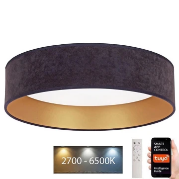 Brilagi - LED Reguliuojamas lubinis šviestuvas  VELVET SMART LED/24W/230V d. 45 cm 2700-6500K Wi-Fi Tuya pilka/auksinė + nuotolinio valdymo pultas