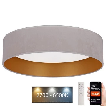 Brilagi - LED Reguliuojamas lubinis šviestuvas VELVET SMART LED/24W/230V d. 45 cm 2700-6500K Wi-Fi Tuya + valdymo pultas