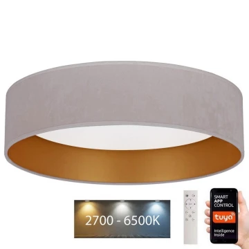 Brilagi - LED Reguliuojamas lubinis šviestuvas VELVET SMART LED/36W/230V d. 55 cm 2700-6500K Wi-Fi Tuya kreminė/auksinė + nuotolinio valdymo pultelis