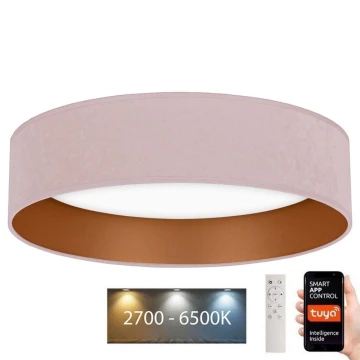 Brilagi - LED Reguliuojamas lubinis šviestuvas VELVET SMART LED/36W/230V d. 55 cm 2700-6500K Wi-Fi Tuya rožinė/auksinė + nuotolinio valdymo pultelis