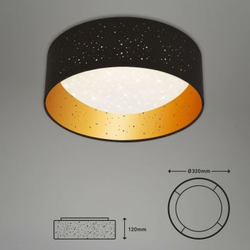 Brilo 3482-015 - LED lubinis šviestuvas MAILA STARRY LED/12W/230V juoda/auksas