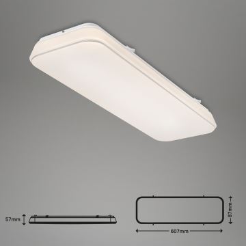 Briloner 3040-016 - LED Pritemdomas lubinis šviestuvas RUPA LED/24W/230V