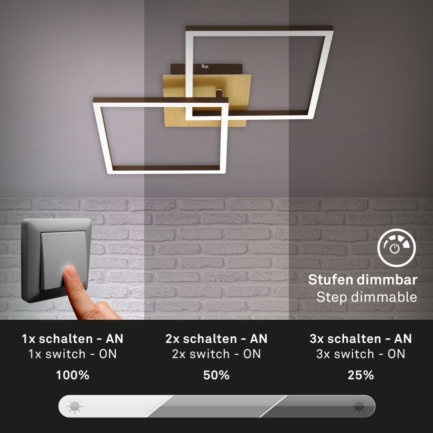 Briloner 3210-017 - LED Pritemdomas lubinis šviestuvas FRAME 2xLED/11W/230V auksas