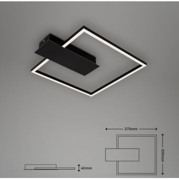 Briloner 3544-015 - LED Reguliuojamas lubinis šviestuvas NICO DUO LED/12W/230V