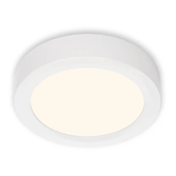 Briloner 7124-016 - LED Reguliuojamas lubinis šviestuvas FIRE LED/12W/230V 3000K