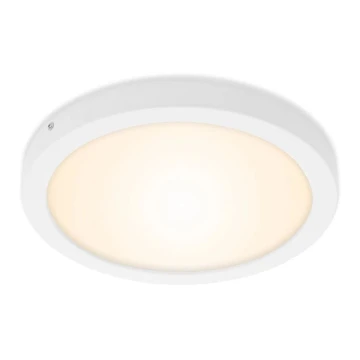 Briloner 7141-016 - LED Lubinis šviestuvas FIRE LED/21W/230V