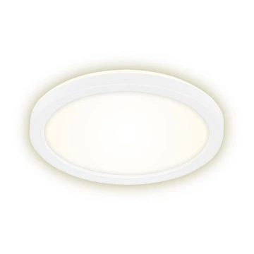 Briloner 7150-416 - LED Lubinis šviestuvas SLIM LED/12W/230V d. 19 cm