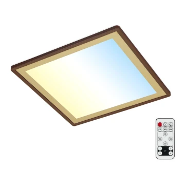 Briloner 7459-417 - LED Pritemdomas lubinis šviestuvas DECO LED/24W/230V 2700-6500K + nuotolinio valdymo pultas