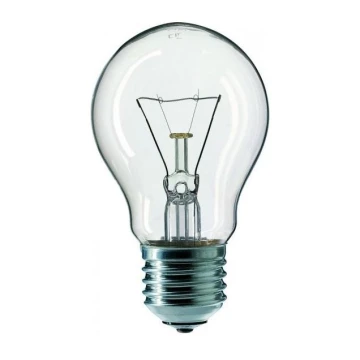 Didelio našumo elektros lemputė E27/60W/230V