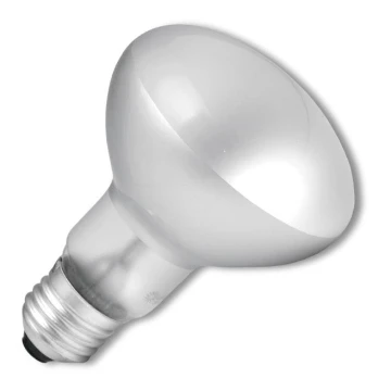 Didelio našumo halogeninė elektros lemputė E14/40W/230V
