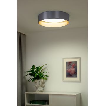 Duolla - LED lubinis šviestuvas ROLLER LED/24W/230V sidabras/auksas