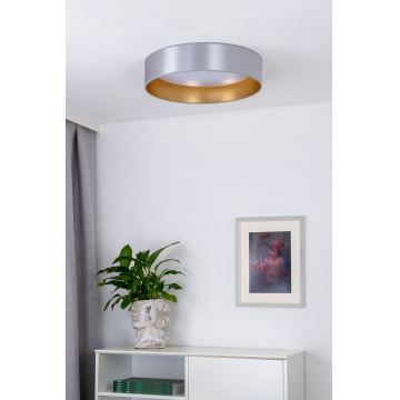 Duolla - LED lubinis šviestuvas ROLLER LED/24W/230V sidabras/auksas