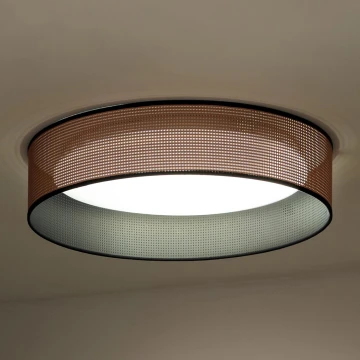 Duolla - LED lubinis šviestuvas ROLLER LED/24W/230V varis/juoda