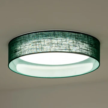 Duolla - LED lubinis šviestuvas ROLLER LED/24W/230V žalia