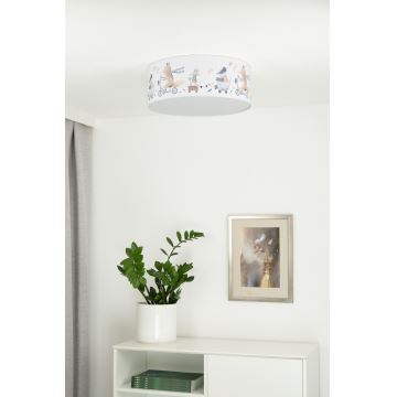 Duolla - Vaikiškas LED lubinis šviestuvas CORTINA LED/26W/230V diametras 40 cm 4000K