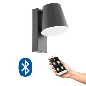 Eglo 33559 - LED Reguliuojamas lauko sieninis šviestuvas CALDIERO-C 1xE27/9W/230V IP44