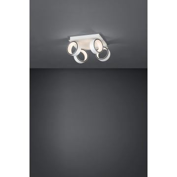 Eglo 39587 - LED akcentinis šviestuvas ALBARIZA 4xLED/4,6W/230V