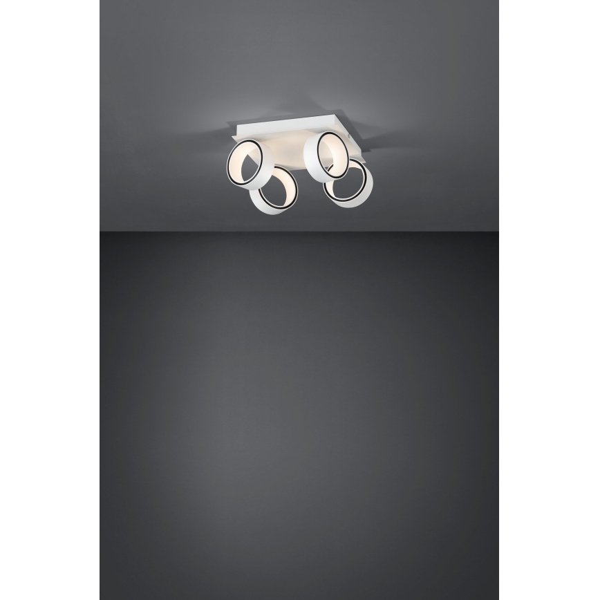 Eglo 39587 - LED akcentinis šviestuvas ALBARIZA 4xLED/4,6W/230V