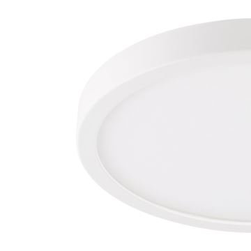 Eglo - LED Vonios lubinis šviestuvas ARGOLIS LED/20,5W/230V IP44 baltas