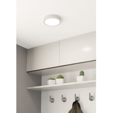 Eglo - LED lubinis šviestuvas LED/10,5W/230V