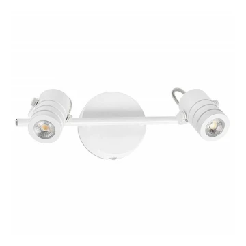 FARO 41124 - LED sieninis šviestuvas URSA 2xLED/6W/230V
