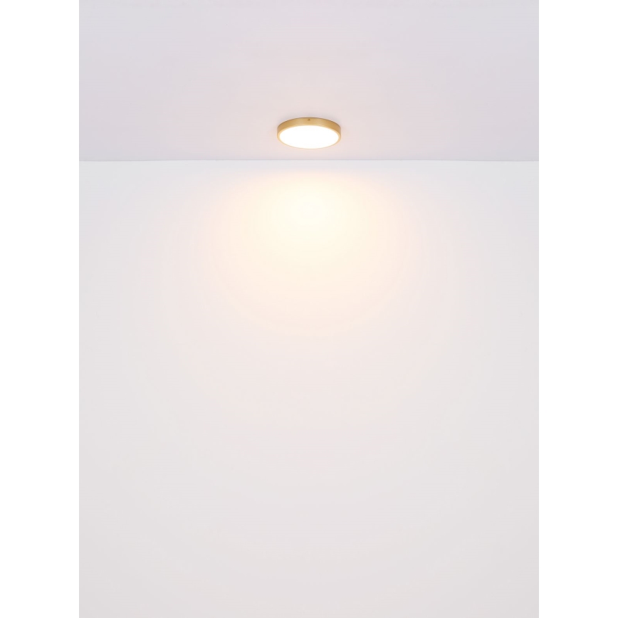 Globo - LED lubinis šviestuvas LED/22W/230V diametras 35 cm