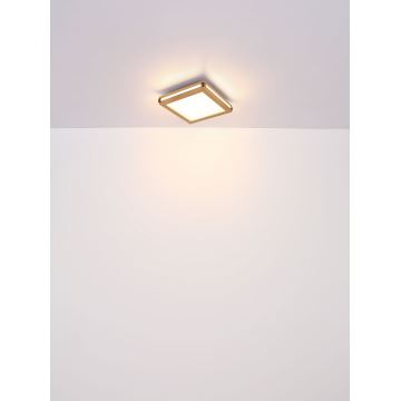 Globo - LED lubinis šviestuvas LED/24W/230V 45x45 cm