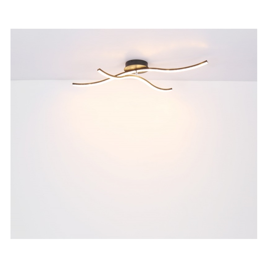 Globo - LED Ant pagrindo montuojamas sietynas LED/20W/230V