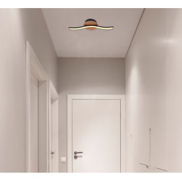 Globo - LED lubinis šviestuvas LED/6W/230V
