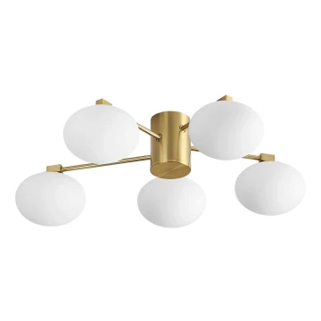 Ideal Lux - LED Ant pagrindo montuojamas sietynas HERMES 5xG9/3W/230V auksas