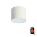 Immax NEO 07243L - LED Pritemdomas lubinis šviestuvas RONDATE LED/32W/230V 16,5 cm Wi-Fi Tuya