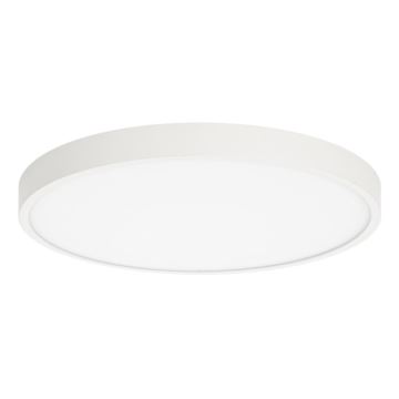 ITALUX - LED lubinis šviestuvas RIBERIO LED/30W/230V 3000K balta