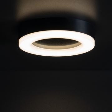 LED lubinis lauko šviestuvas TURA LED/24W/230V 4000K IP54 juoda