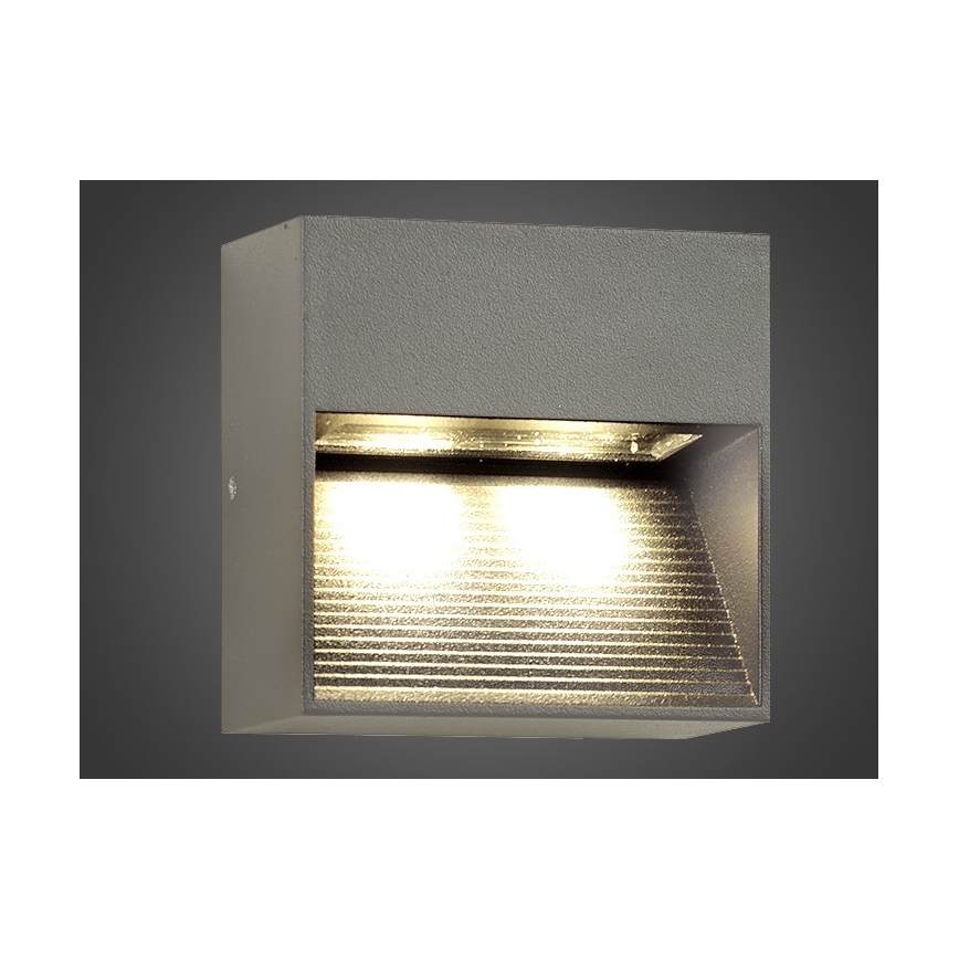 Lauko LED sieninis šviestuvas NINION LED / 2W / 230V IP54