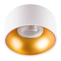 LED Akcentinis įleidžiamas šviestuvas MINI RITI 1xGU10/25W/230V balta/auksas