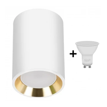LED akcentinis šviestuvas CHLOE 1xGU10/6W/230V apvalus balta/auksas
